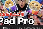 【画像】ヒカキン、飼い猫のためにiPadProフルスペックを2台購入ｗｗｗｗｗｗｗｗ