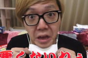 【動画】ヒカキンさん、アベノマスクをレビュー「悪くないねぇ！」「かわいい！」