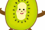 【朗報】キウイとかいう果物、うますぎて無限に食えそうｗｗｗｗｗｗｗｗｗｗｗｗｗｗｗｗｗｗｗ