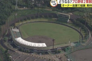 【朗報】静岡にプロ野球の新球団誕生の可能性