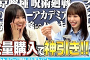 【日向坂46】なおみくにんのアニメグッズ爆買い動画を視聴したおひさまの感想がこちら！