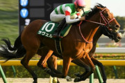 【競馬予想】[1]第74回阪神ジュベナイルフィリーズ(GI) /2022