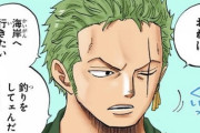 【疑問】「2年後のゾロ」と「2年前のゾロ」どっちがかっこいい？？？