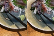 外国人「いやああああ、日本の飲食店が動く魚を提供してるんだけど！」