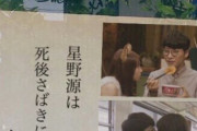 【悲報】星野源、一線を越えてしまうｗｗｗｗｗｗｗｗｗｗｗｗｗｗｗｗ