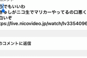 【悲報】辻野あかりさん、マリオカートで工藤忍を3周抜かししてしまう…