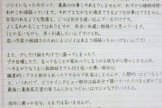 フォント(丸字)！【トリヤマゴシック】鳥山明さん、ガチで反省する
