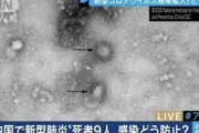 【速報】新型コロナウイルス肺炎、日本で２人目の感染者　武漢から来た中国人
