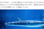 水族館のサメがロボットで客ブチギレ（※画像あり）
