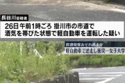 【まん割ナシ】女子大生さん、道路を逆走して逮捕されるｗｗｗｗｗｗｗｗｗｗｗｗｗｗｗ