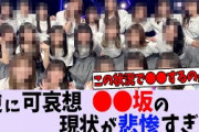 〇〇坂の現状が悲惨すぎる…【乃木坂46】【日向坂46】