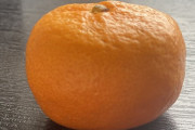 松井玲奈「蒲郡みかん」