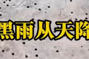 【衝撃】中国にて『黒い雨』が降る。なんだこれは・・・😲