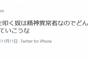 けものフレンズ２ファン「けもフレ2を叩く奴は精神異常者なのでどんどん殺（ブロック）していこうな」