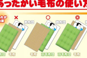 【こたつで寝るから！】人類、全員毛布の使い方を間違っていた
