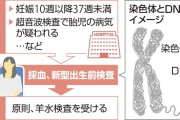 胎児の病気調べる新型出生前検査、11施設が全染色体で臨床研究へ…専門外の医療機関による検査でトラブルも