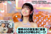【櫻坂46】菅井と森田の自撮りVTRのキャプチャもあった