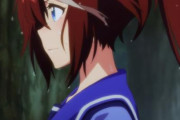 アニメ「ウマ娘 プリティーダービー Season 2 12話」泣いたわ