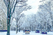 雪国の人ってみんな4WDで寒冷地仕様の車買わなきゃならないの？
