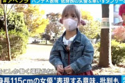 【画像】小人症の女、わりと可愛いと話題に