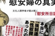 【韓国の嘘】「慰安婦」訴訟での原告勝訴は世界的な流れ