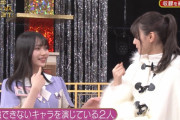 この2人の好きな四字熟語ｗ これは凡人には思いつかんｗｗｗ【乃木坂46】