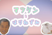 【ほんわか】マツケンがハリネズミと3分間イチャつくだけの動画が「一生見てられる」と話題に