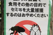 杉並区の公園でまさかの注意書き現る