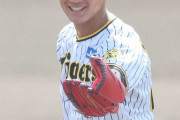 阪神タイガース、若手選手を台湾WLに派遣する事を決定するｗｗｗｗｗ