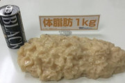 【画像】脂肪1キロ、予想以上にでかい