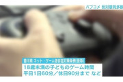 香川ゲーム条例、パブコメ原本を入手　賛成意見「大半が同じ日に投稿」「不自然な日本語」