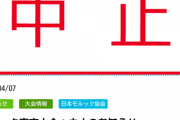 サムネでわかる「中止」のでかさw
