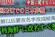 【悲報】中国「日本の海鮮食品を"核海鮮"と呼ぼうぜ！」←これ岸田さんどうするの？?
