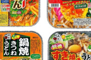 【画像】このタイプのインスタント麺が流行らない理由