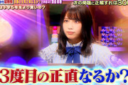 渡邉美穂クイズ!あなたは小学5年生より賢いの?でのリベンジなるか！？