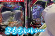 【朗報】人気YouTuber相馬トランジスタさん、1日5000円×30日パチンコを打ち続けたら勝てるのかを検証ｗｗｗｗｗ