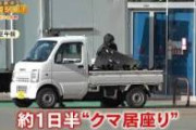【公開処刑】秋田県警が派遣したスーパークマ専用の特別部隊をご覧くださいｗｗｗｗ