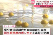 【鹿児島】「食べたかったから食べた」呆れる動機　公衆浴場のボンタン湯で“ボンタン20個”が盗難、食べられる被害