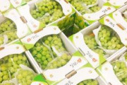 韓国メディア「シャインマスカットは日本が開発したが、育て方が難しくて栽培を放棄した」と嘘を報道