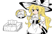 【東方】魔理胸ティッシュ