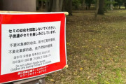セミの幼虫「採取禁止」の張り紙　都内の公園、食用目的で乱獲か　中国語でも注意喚起