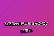 【乃木坂46】DISH//メンバー、井上和の『猫』を大絶賛