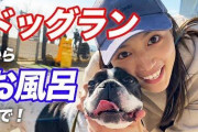 【悲報】川口春奈さん、ペットショップで犬を購入してしまい炎上wwwwwewwwwwwww