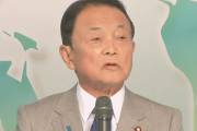 【悲報】若者「結婚資金がないのが少子化につながるのでは？」麻生「そりゃ金がねえなら結婚しない方がいい」