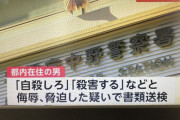 中川翔子さんへの誹謗中傷で二十代男性逮捕