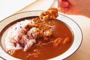 見かけたらつい買ってしまう「レトルトカレー」ランキング！　2位「カレーLEE」、1位は「銀座カリー」