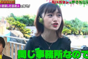“ポスト指原”NGT48・中井りか「年間257本から転落」唯一のキー局レギュラー番組が終了