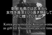 韓国は真実に向き合え！従軍慰安婦はボランティアの売春婦で性奴隷ではない 売春は韓国の真の文化だ！海外の反応