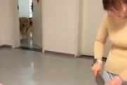 食いしん坊な犬「見つかってないよね!?」飼い主の目を盗んだミッションインポッシブル