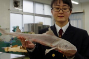 【京都】女子高生（１７）がサメバーガーを開発し水産庁長官賞　敬遠されていた食材、臭いを解消